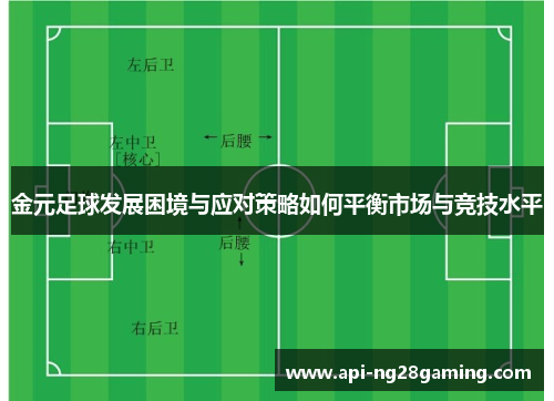 金元足球发展困境与应对策略如何平衡市场与竞技水平