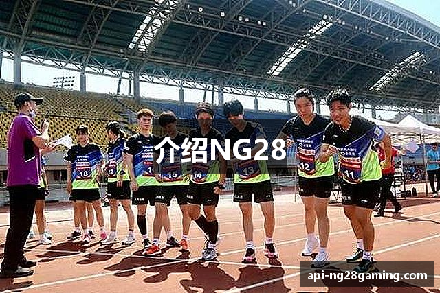 介绍NG28